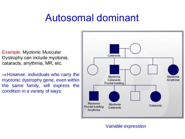 In Autosomal Dominant Inheritance Asp Date